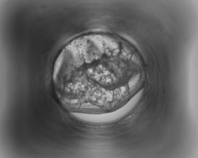 X0000088061359200706081641