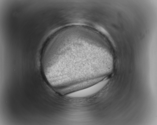 X0000088061360200706081641