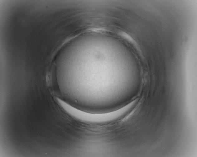 X0000088061361200706081641