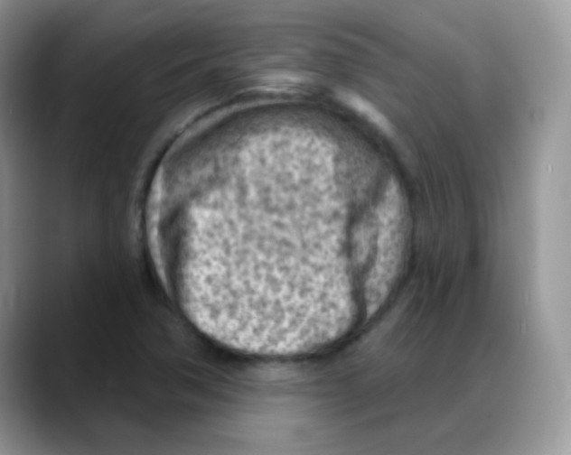 X0000088061362200706081641