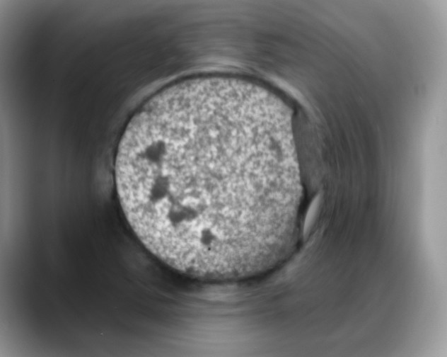 X0000088061363200706081641