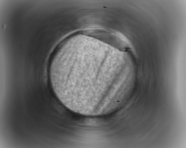 X0000088061364200706081641