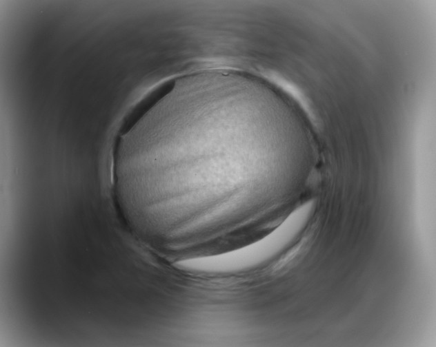 X0000088061365200706081641