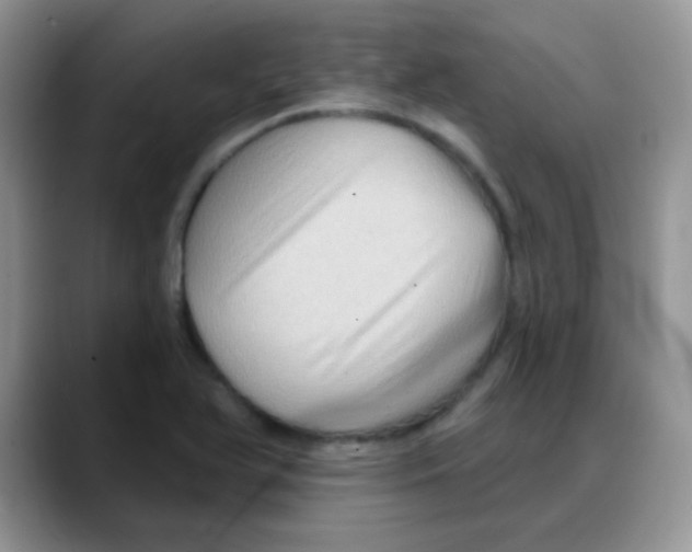 X0000088061366200706081641