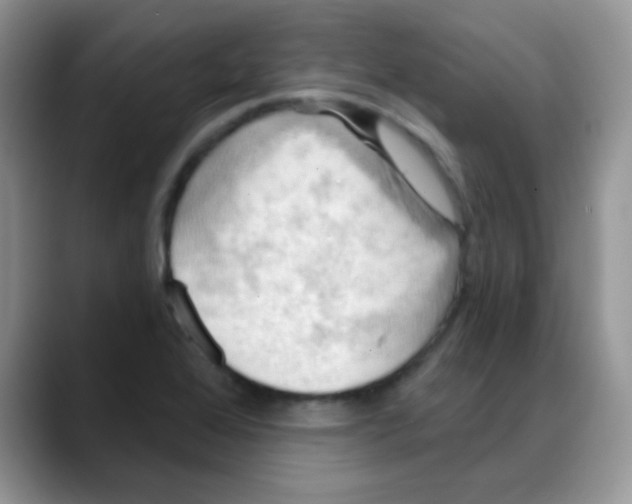 X0000088061368200706081641