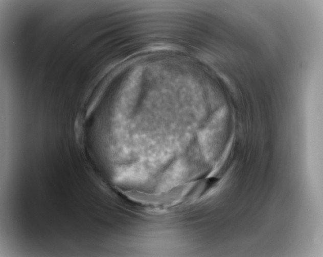 X0000088061369200706081641