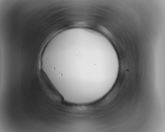 X0000088061370200706081641