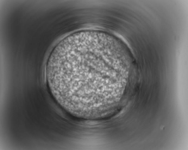 X0000088061371200706081641