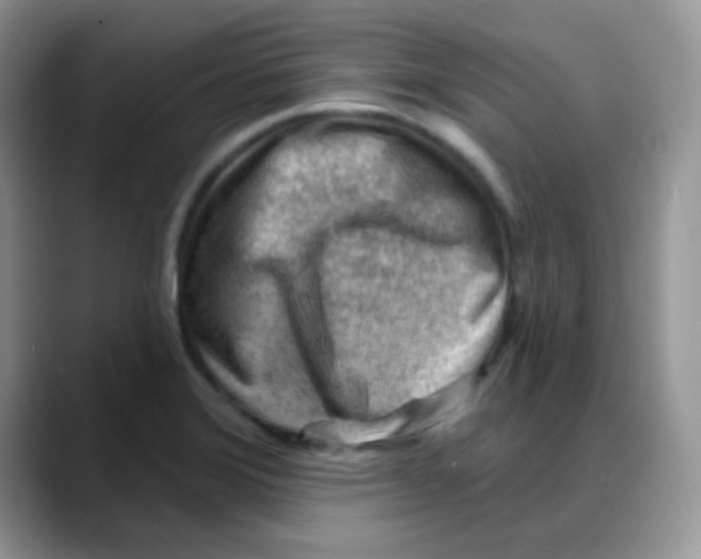 X0000088061372200706081641