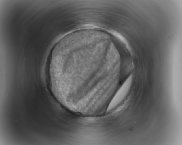 X0000088061373200706081641