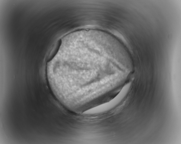 X0000088061374200706081641