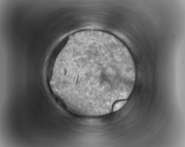 X0000088061375200706081641