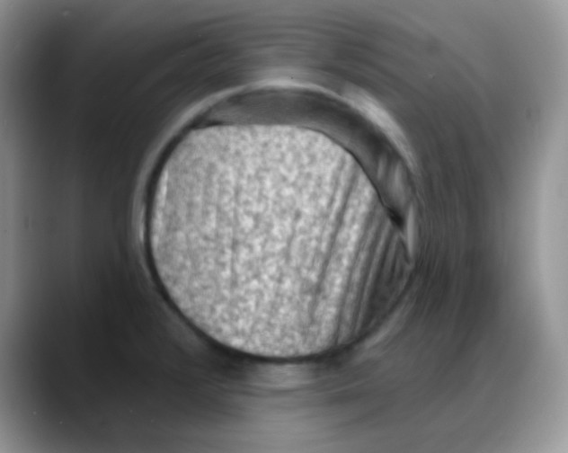 X0000088061376200706081641