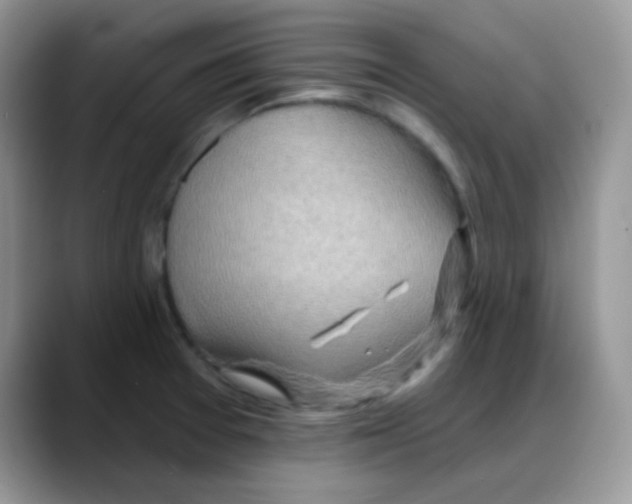 X0000088061377200706081641