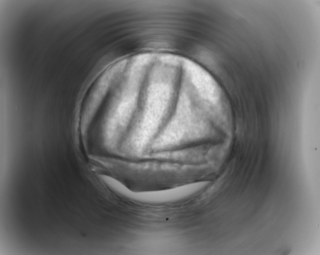X0000088061378200706081641