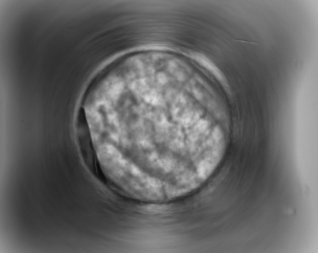 X0000088061380200706081641