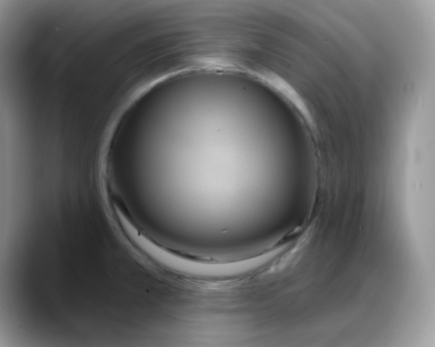 X0000088061381200706081641