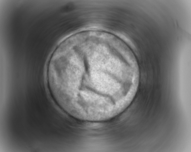 X0000088061382200706081641
