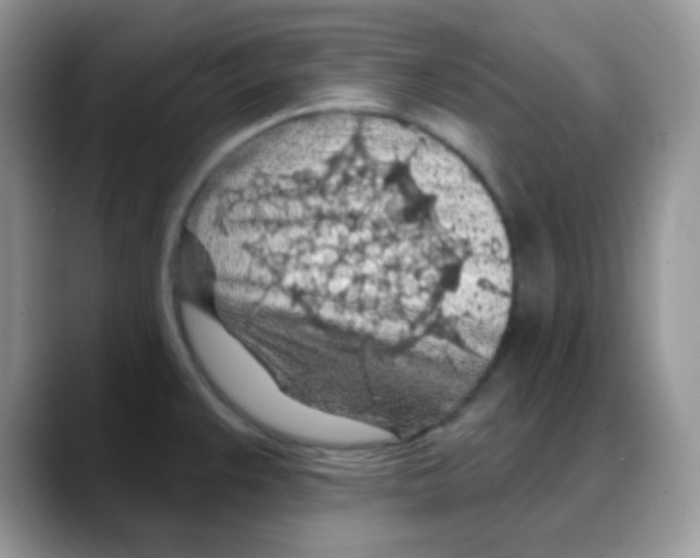 X0000088061383200706081641