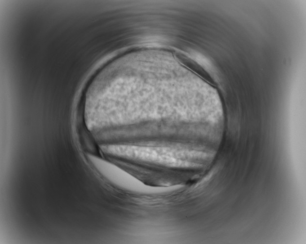 X0000088061384200706081641