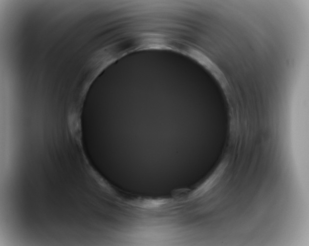 X0000088061385200706081641