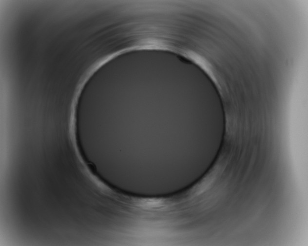X0000088061387200706081641