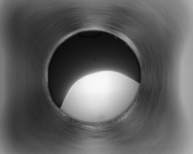 X0000088061388200706081641