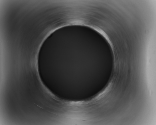 X0000088061389200706081641