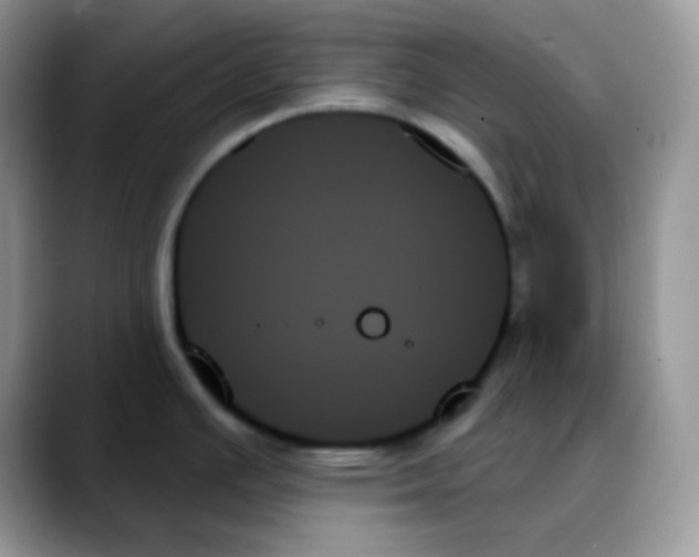 X0000088061391200706081641