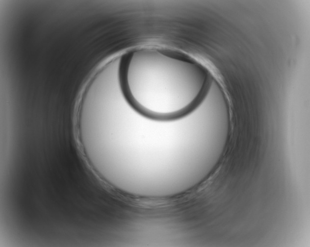 X0000088061392200706081640
