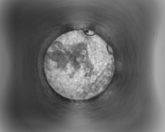 X0000088061393200706081640
