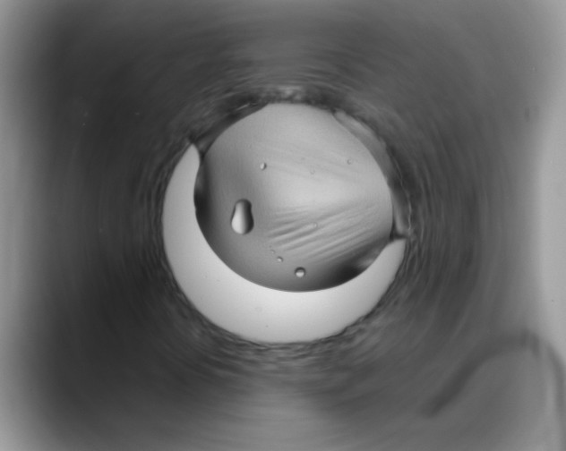 X0000088061394200706081640