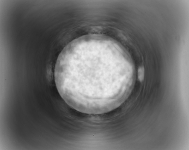 X0000088061395200706081640