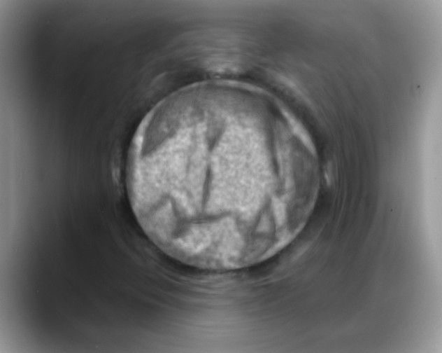 X0000088061396200706081640