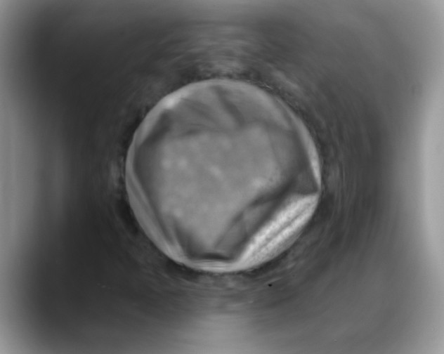 X0000088061397200706081640