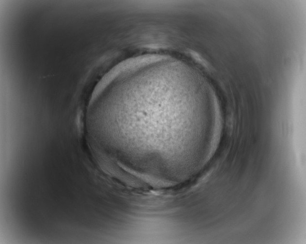 X0000088061398200706081640