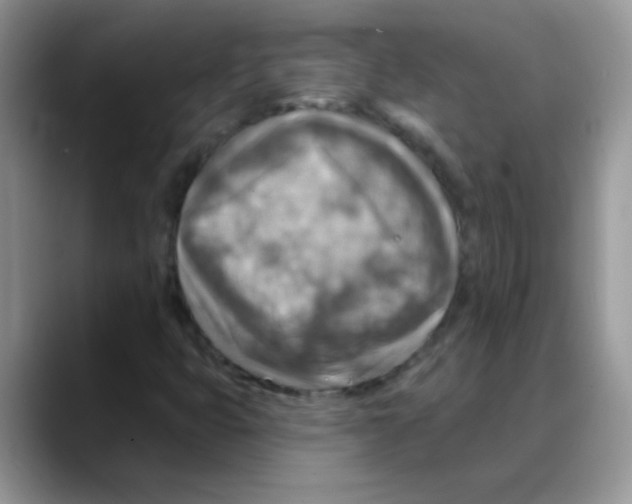 X0000088061399200706081640