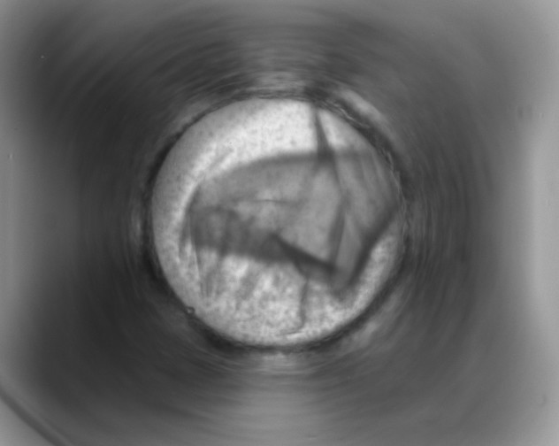 X0000088061401200706081640