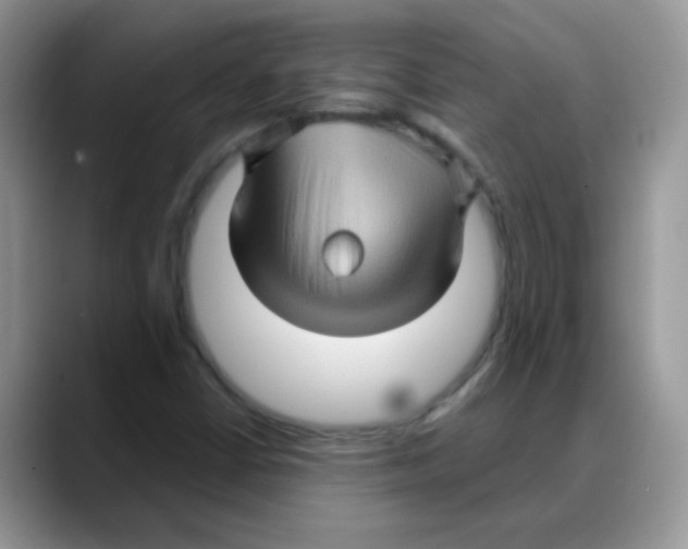 X0000088061402200706081640