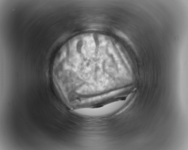X0000088061403200706081640