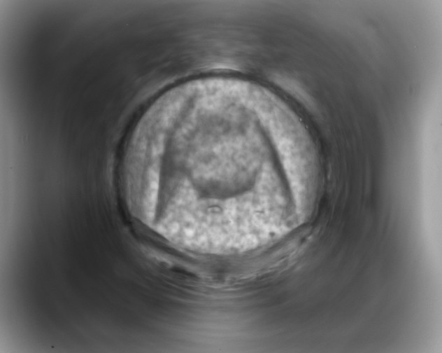 X0000088061404200706081640