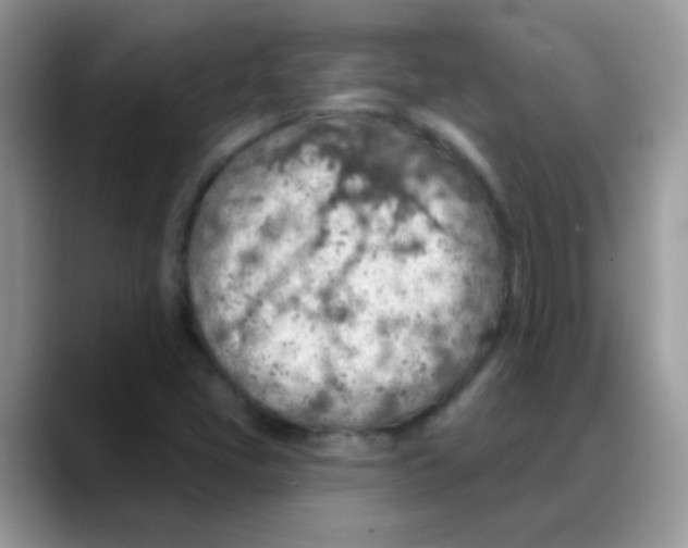 X0000088061405200706081640