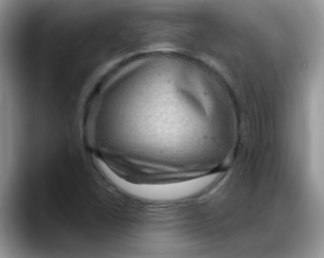 X0000088061406200706081640