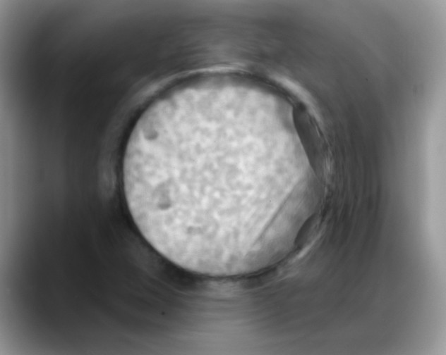 X0000088061407200706081640