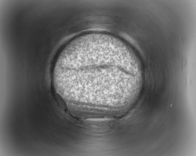X0000088061408200706081640