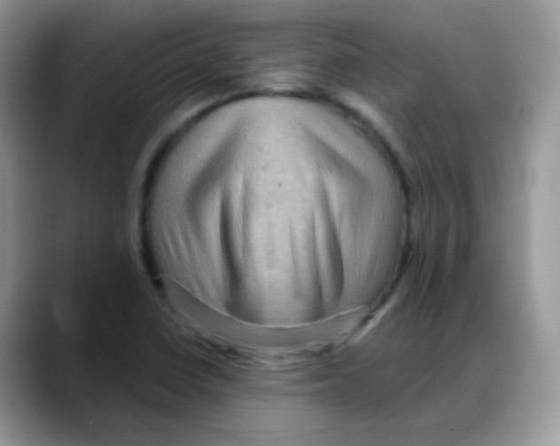 X0000088061410200706081640