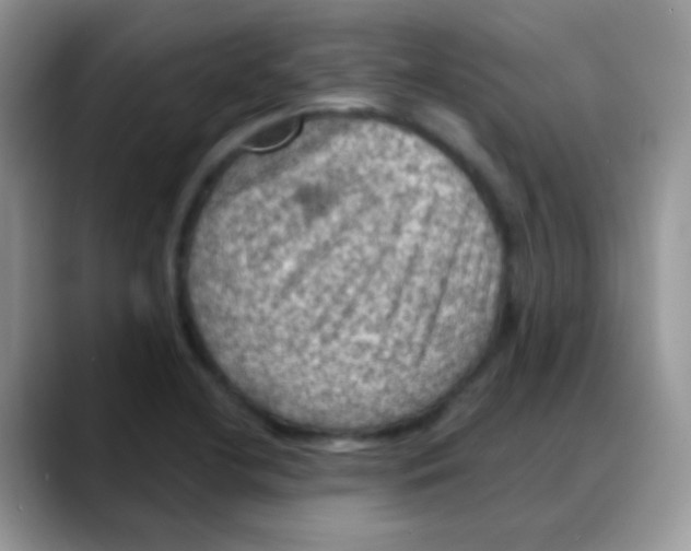 X0000088061412200706081640