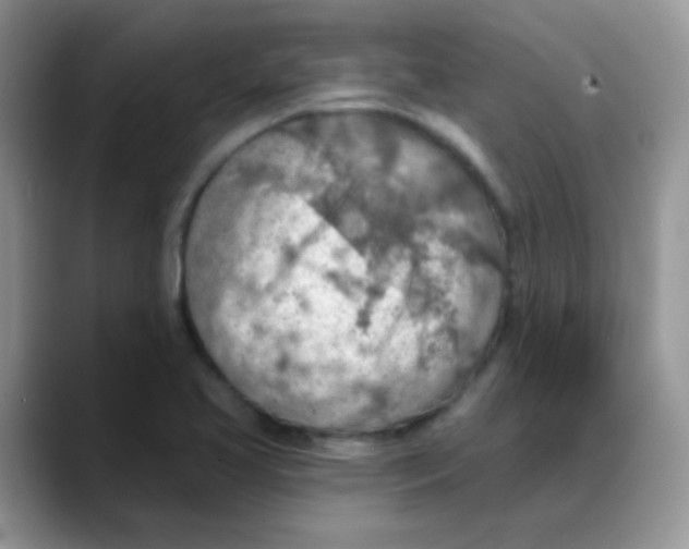 X0000088061413200706081640