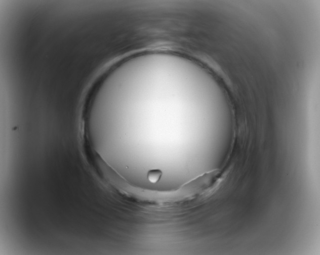 X0000088061414200706081640