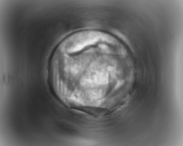 X0000088061415200706081640